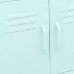 Armadio Contenitore in Acciaio con Ruote, 2 Ante, 9 Colori, Montaggio in 1 Persona